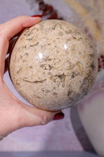 Shell Jasper Sphere 1.2KG sphere Tali & Loz Crystals