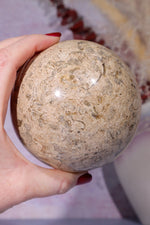 Shell Jasper Sphere 1.2KG sphere Tali & Loz Crystals
