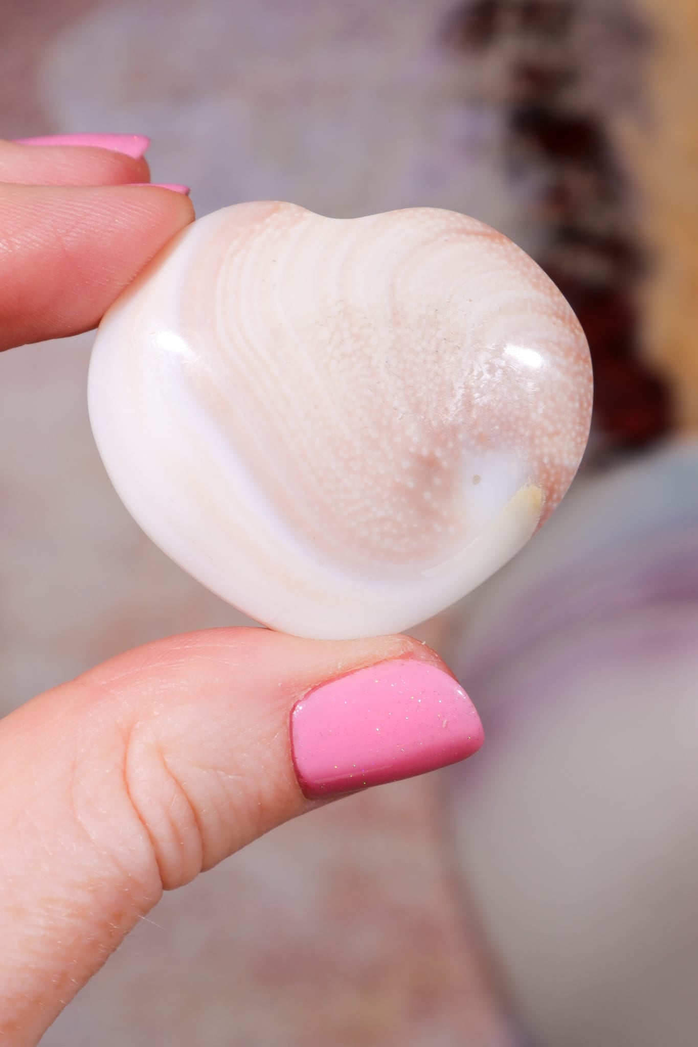 Shiva Shell Hearts | 20-30mm | Indonesia Hearts Tali & Loz Crystals