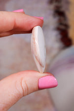 Shiva Shell Hearts | 20-30mm | Indonesia Hearts Tali & Loz Crystals