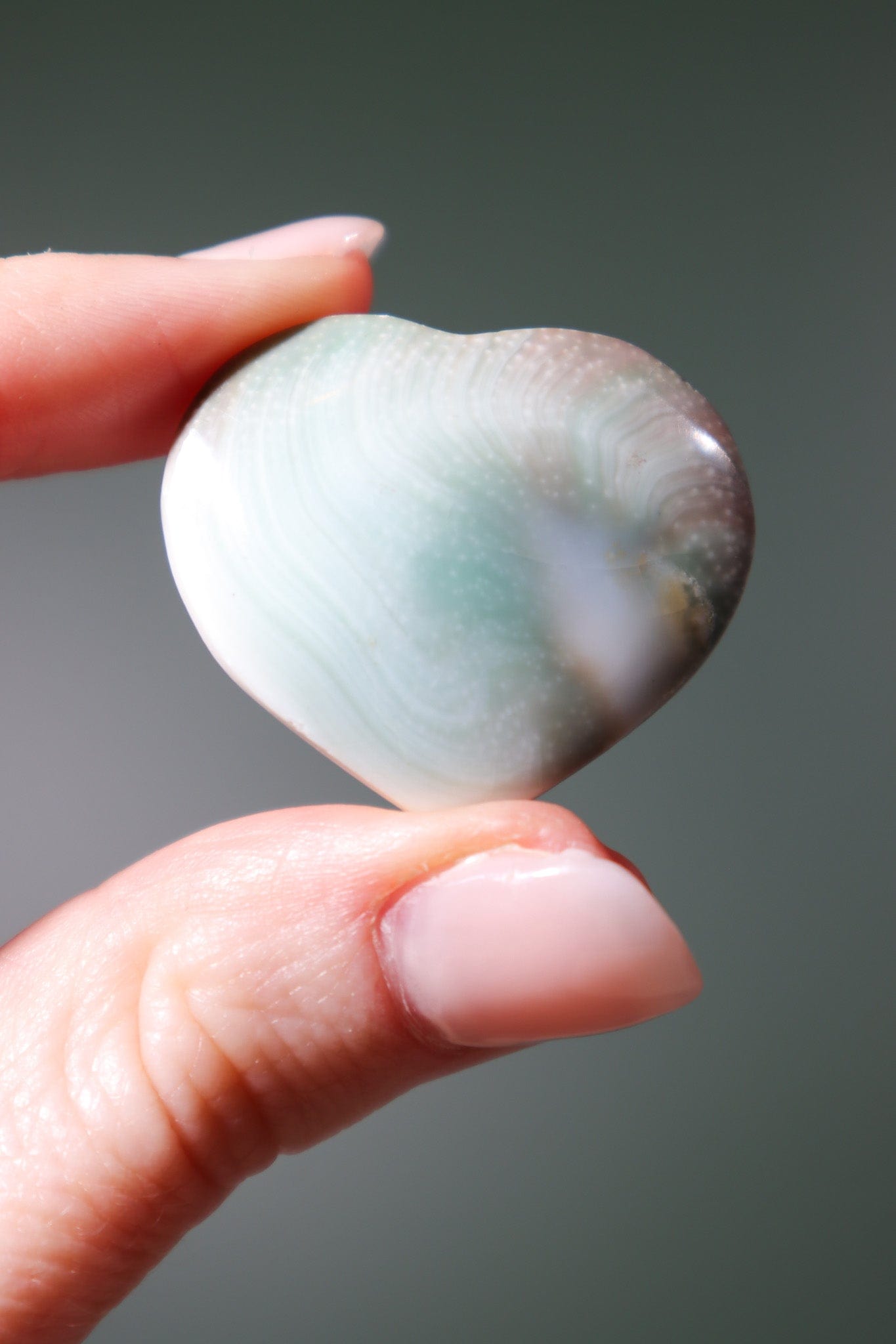 Shiva Shell Hearts - Higher Consciousness/Wisdom - Tali & Loz Crystals