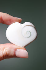 Shiva Shell Hearts - Higher Consciousness/Wisdom - Tali & Loz Crystals