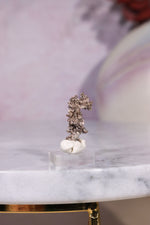 Silver Specimen 1.10gr from Morocco Specimen Tali & Loz Crystals