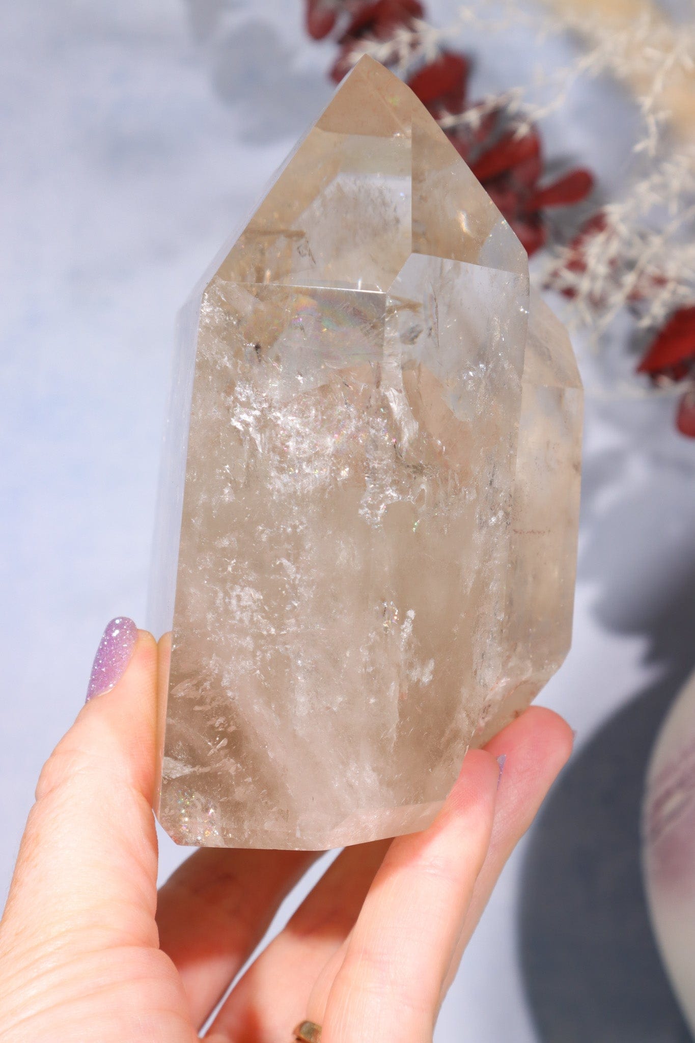 Smokey Quartz Double Point With Phantom Inclusions 0.9KG Points Tali & Loz Crystals
