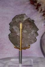 Smokey Quartz Gwindel 8cm, Mont Blanc, France Minerals Tali & Loz Crystals