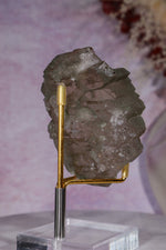 Smokey Quartz Gwindel 8cm, Mont Blanc, France Minerals Tali & Loz Crystals