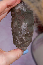 Smokey Quartz Gwindel 8cm, Mont Blanc, France Minerals Tali & Loz Crystals