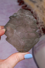 Smokey Quartz Gwindel 8cm, Mont Blanc, France Minerals Tali & Loz Crystals