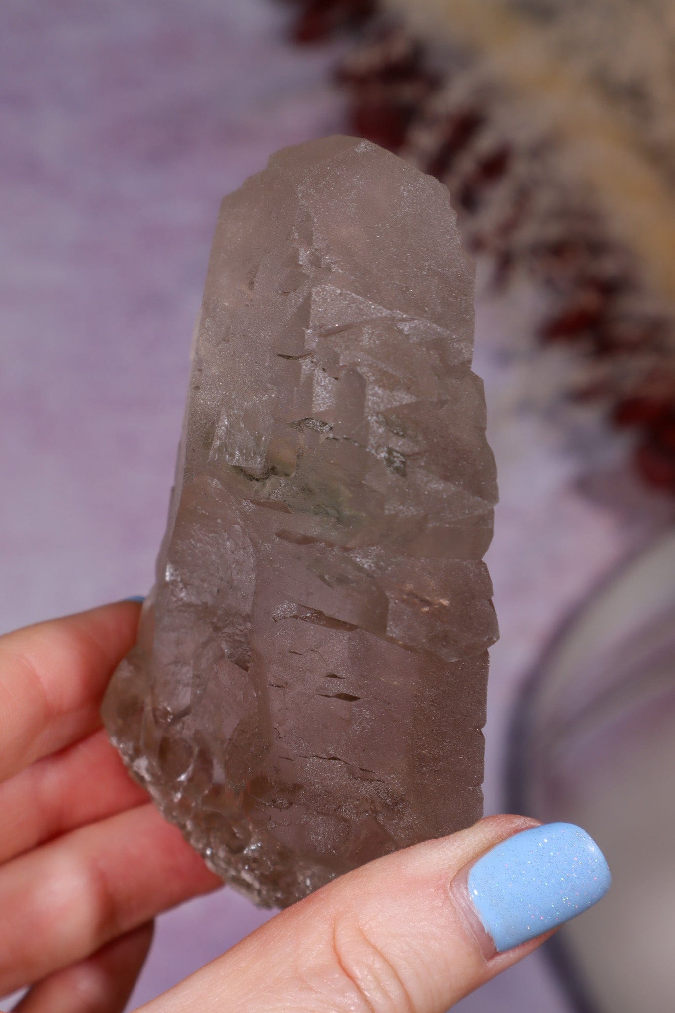 Smokey Quartz Gwindel 9.3cm, Mont Blanc, France Minerals Tali & Loz Crystals