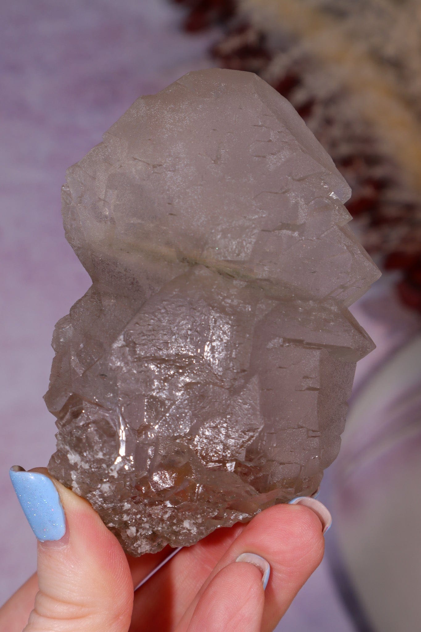 Smokey Quartz Gwindel 9.3cm, Mont Blanc, France Minerals Tali & Loz Crystals