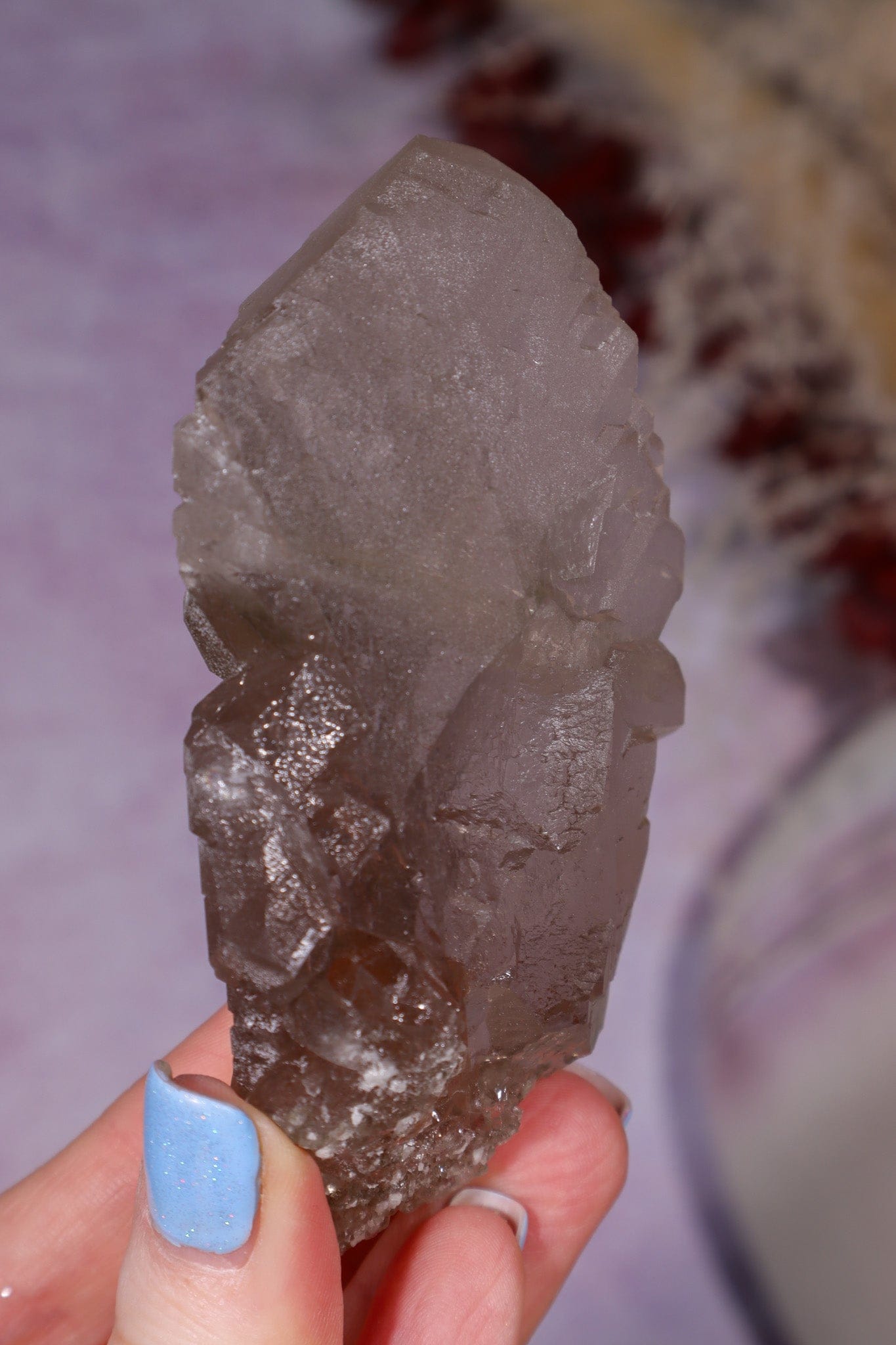 Smokey Quartz Gwindel 9.3cm, Mont Blanc, France Minerals Tali & Loz Crystals