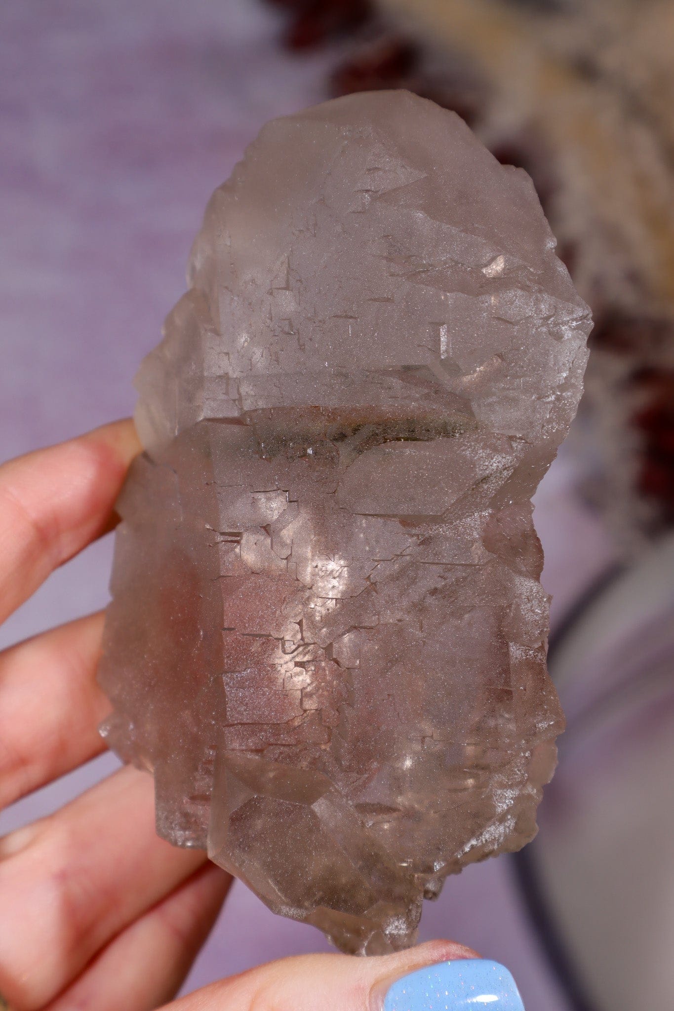 Smokey Quartz Gwindel 9.3cm, Mont Blanc, France Minerals Tali & Loz Crystals