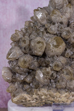 Smoky Quartz Elestial Cluster | 275mm | Romania Quartz Tali & Loz Crystals