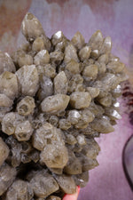 Smoky Quartz Elestial Cluster | 275mm | Romania Quartz Tali & Loz Crystals