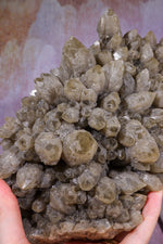Smoky Quartz Elestial Cluster | 275mm | Romania Quartz Tali & Loz Crystals