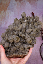 Smoky Quartz Elestial Cluster | 275mm | Romania Quartz Tali & Loz Crystals