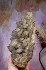 Smoky Quartz Elestial Cluster | 275mm | Romania Quartz Tali & Loz Crystals