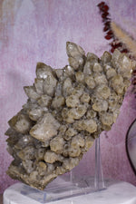Smoky Quartz Elestial Cluster | 275mm | Romania Quartz Tali & Loz Crystals