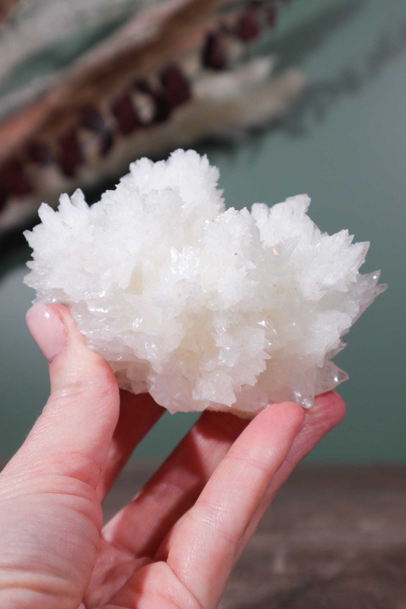 Snow White Aragonite Specimen 287gr - Tali & Loz Crystals