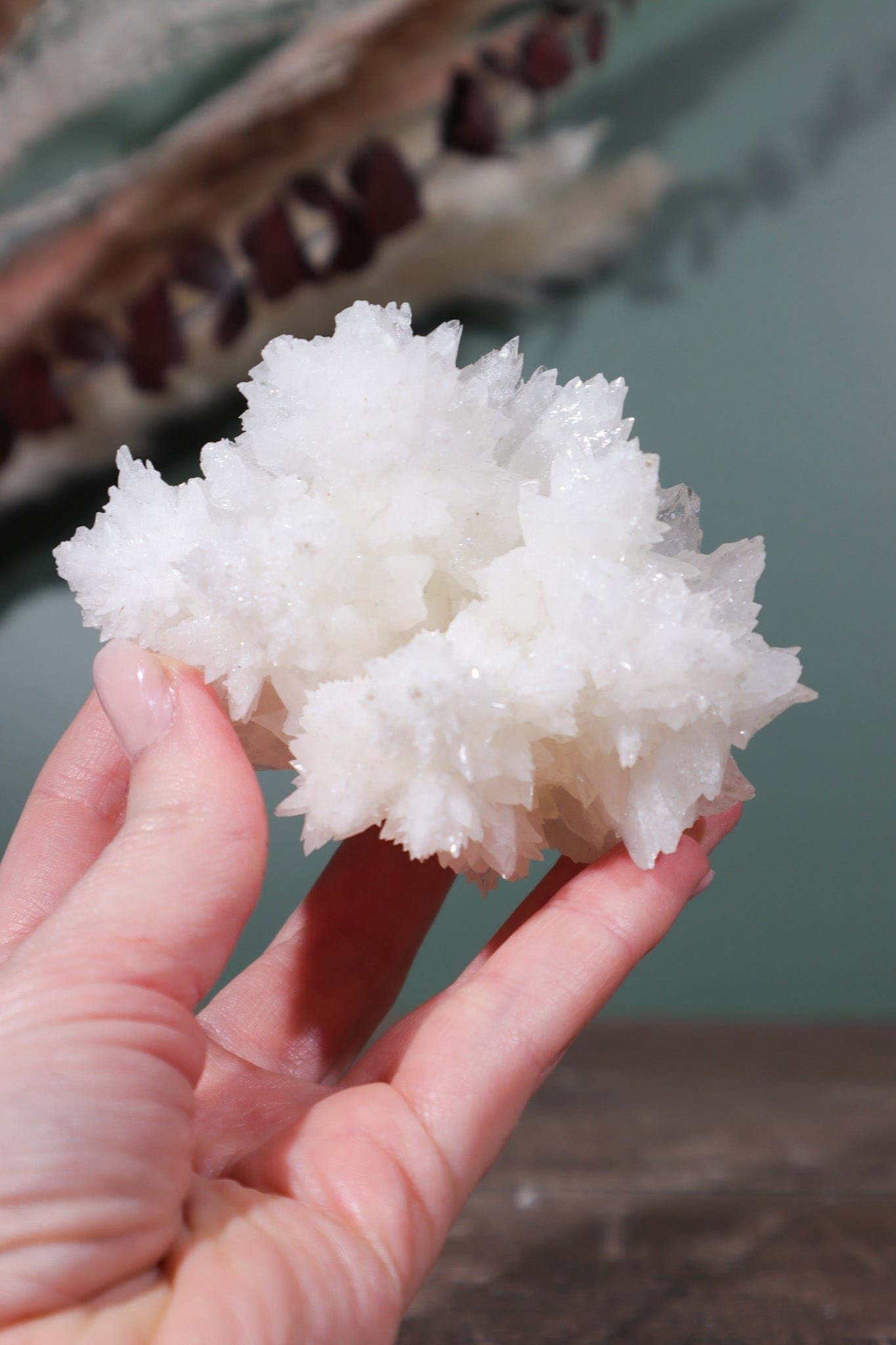Snow White Aragonite Specimen 287gr - Tali & Loz Crystals
