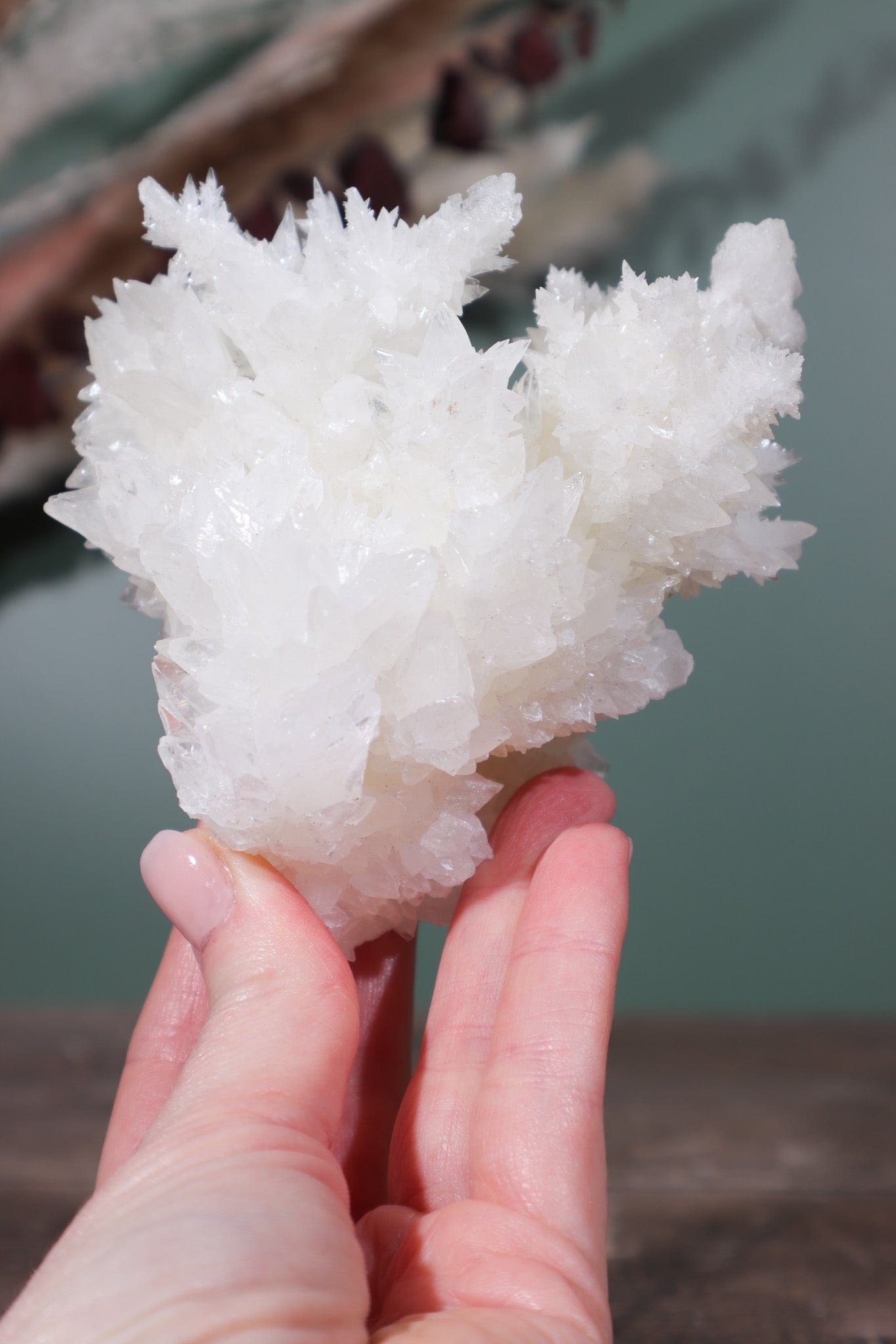Snow White Aragonite Specimen 358gr - Tali & Loz Crystals