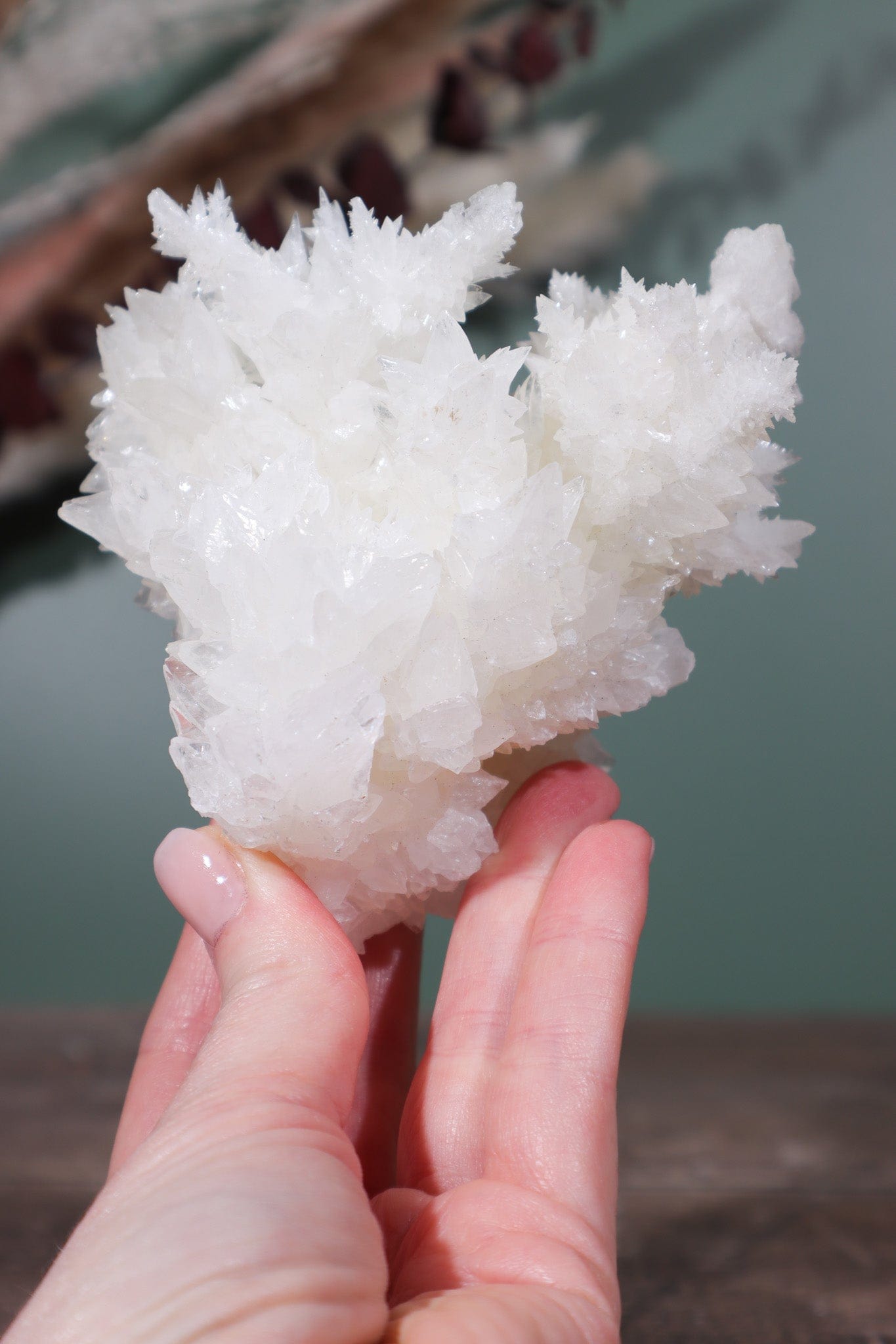 Snow White Aragonite Specimen 358gr - Tali & Loz Crystals