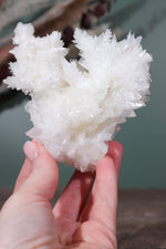 Snow White Aragonite Specimen 358gr - Tali & Loz Crystals