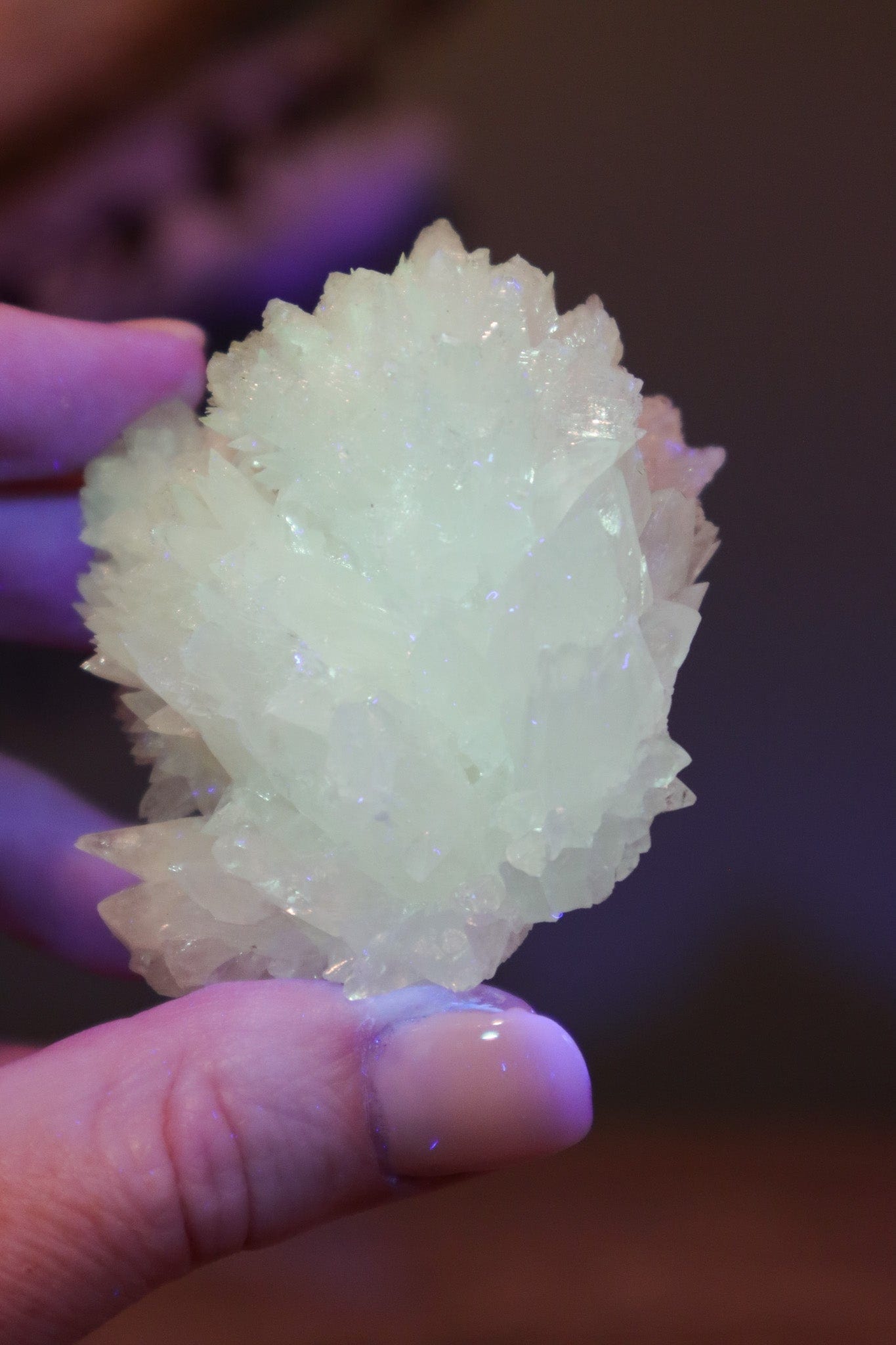 Snow White Aragonite Specimen 88gr Specimens Tali & Loz Crystals