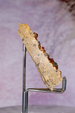 Spessartine Garnet 7,4cm, North Carolina, USA Specimen Tali & Loz Crystals