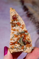 Spessartine Garnet 7,4cm, North Carolina, USA Specimen Tali & Loz Crystals