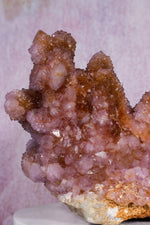 Spirit Quartz Cluster | 220mm | Magaliesberg, South Africa Quartz Tali & Loz Crystals