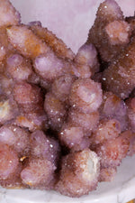 Spirit Quartz Cluster | 220mm | Magaliesberg, South Africa Quartz Tali & Loz Crystals