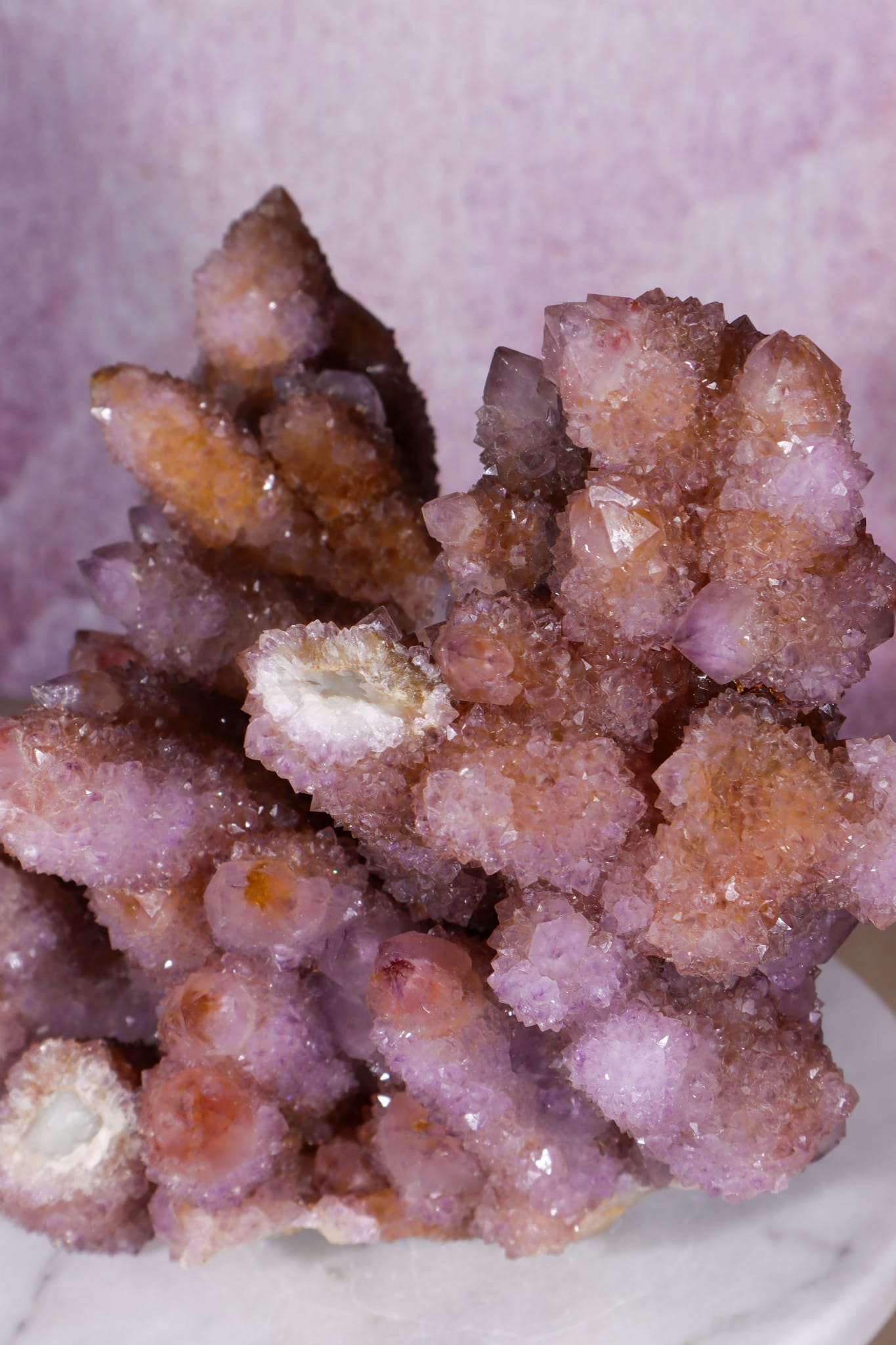 Spirit Quartz Cluster | 220mm | Magaliesberg, South Africa Quartz Tali & Loz Crystals