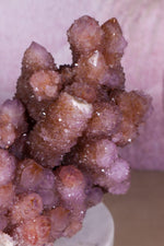 Spirit Quartz Cluster | 220mm | Magaliesberg, South Africa Quartz Tali & Loz Crystals