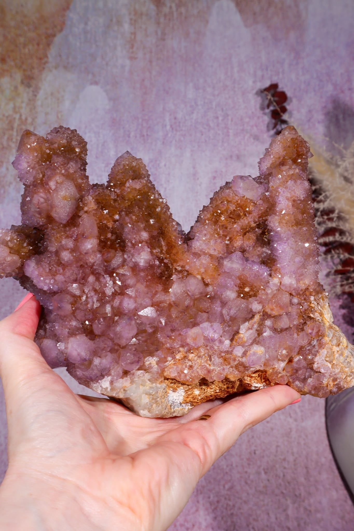 Spirit Quartz Cluster | 220mm | Magaliesberg, South Africa Quartz Tali & Loz Crystals