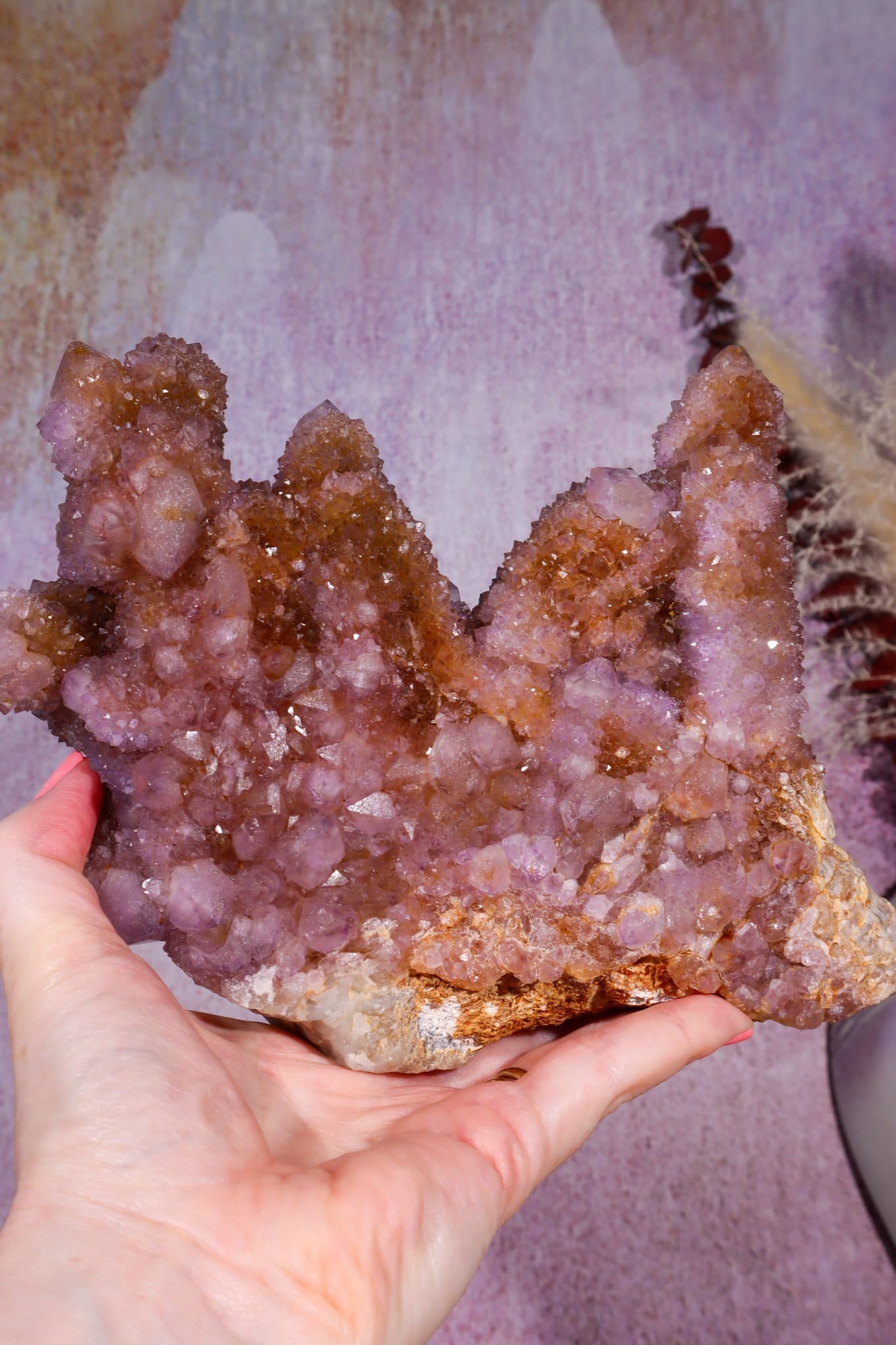 Spirit Quartz Cluster | 220mm | Magaliesberg, South Africa Quartz Tali & Loz Crystals