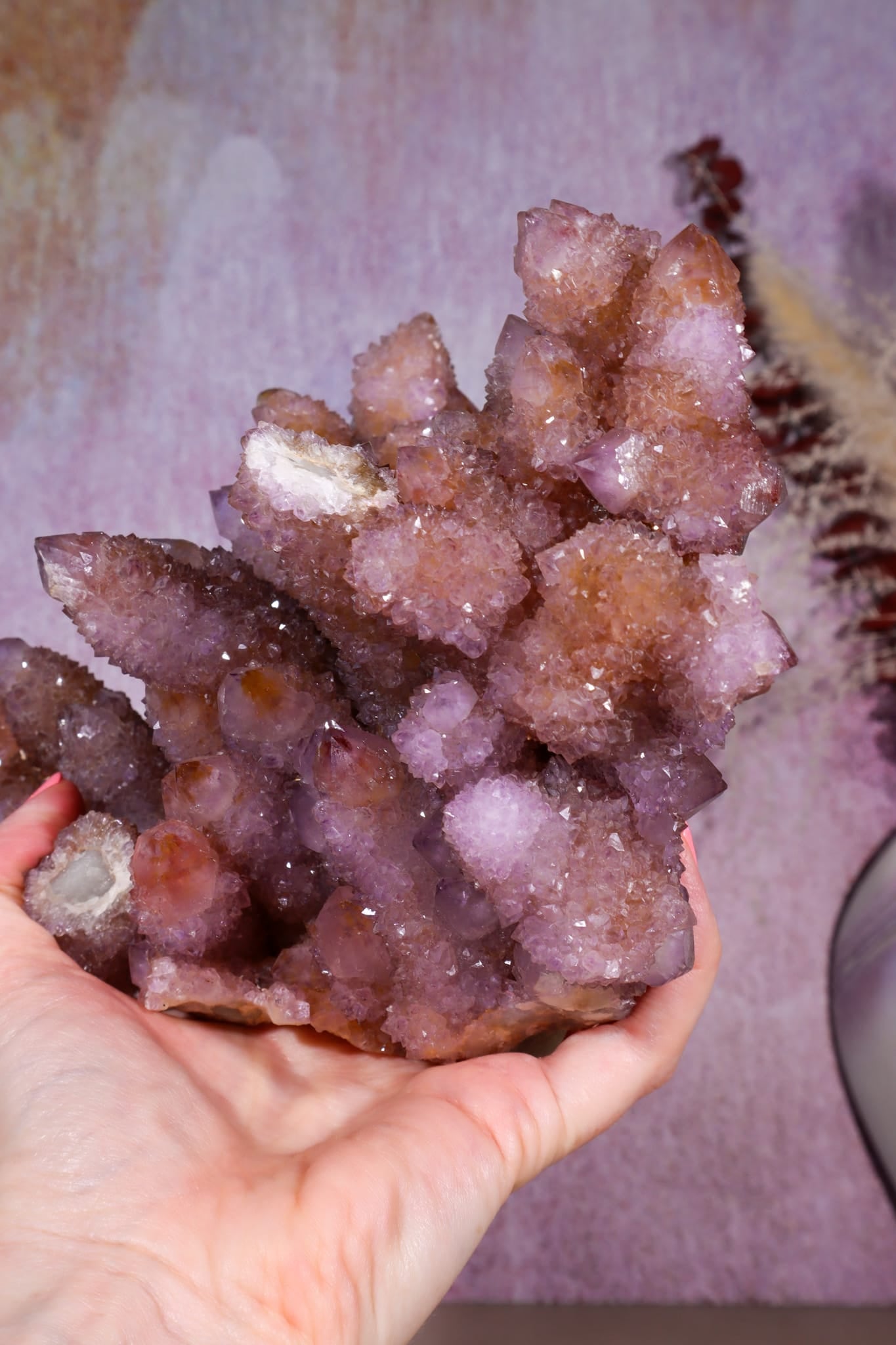 Spirit Quartz Cluster | 220mm | Magaliesberg, South Africa Quartz Tali & Loz Crystals