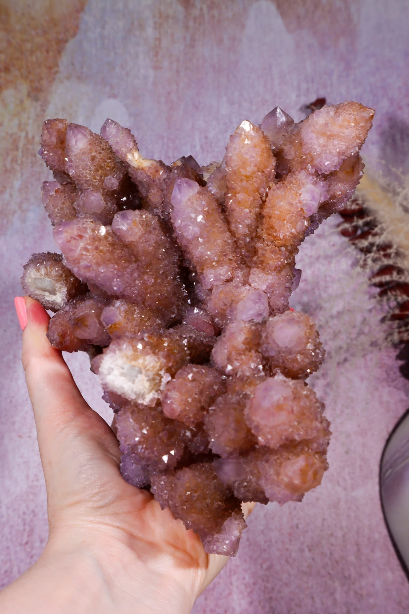 Spirit Quartz Cluster | 220mm | Magaliesberg, South Africa Quartz Tali & Loz Crystals