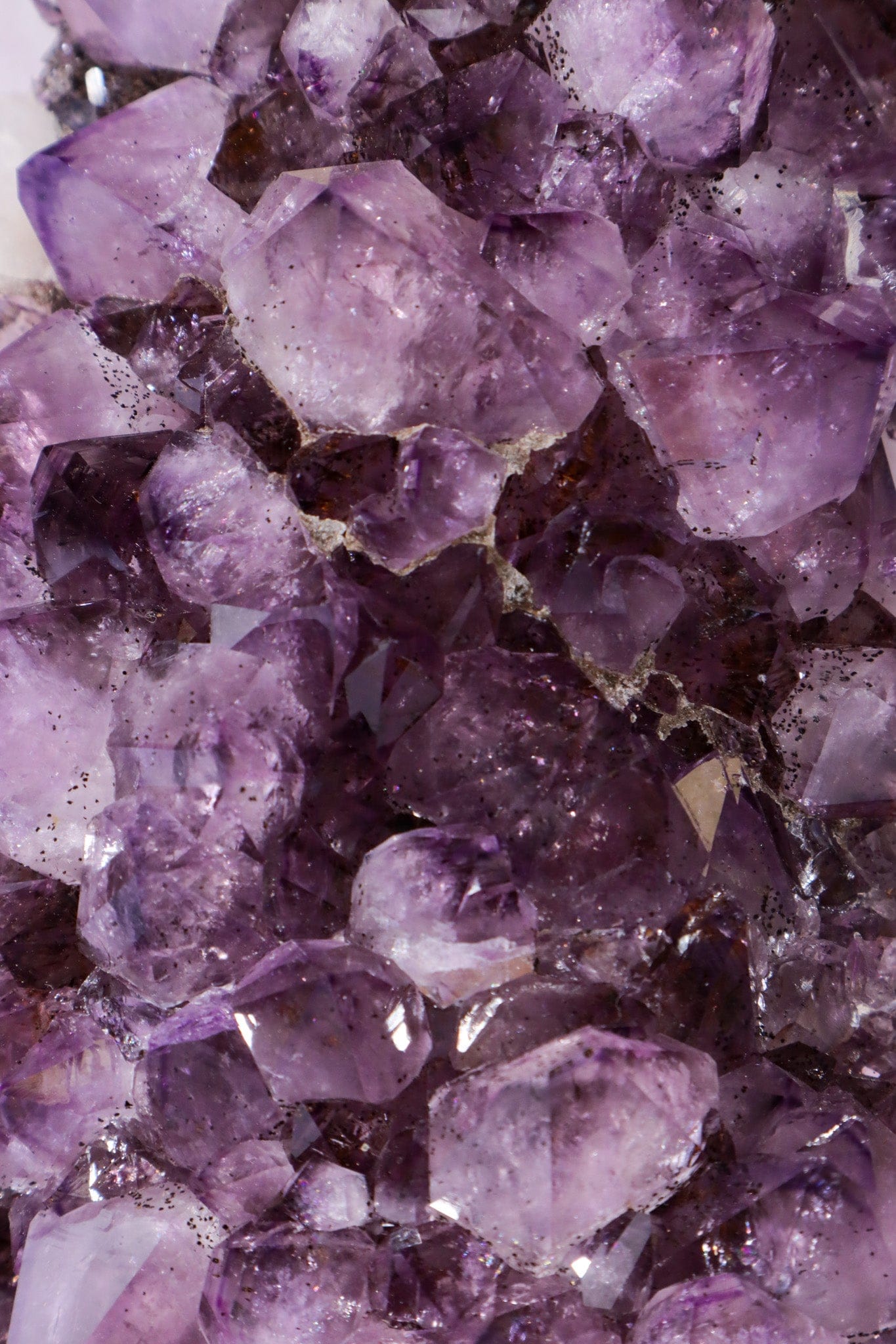 Statement Amethyst Cluster With Bespoke Stand 3.1KG Clusters Tali & Loz Crystals
