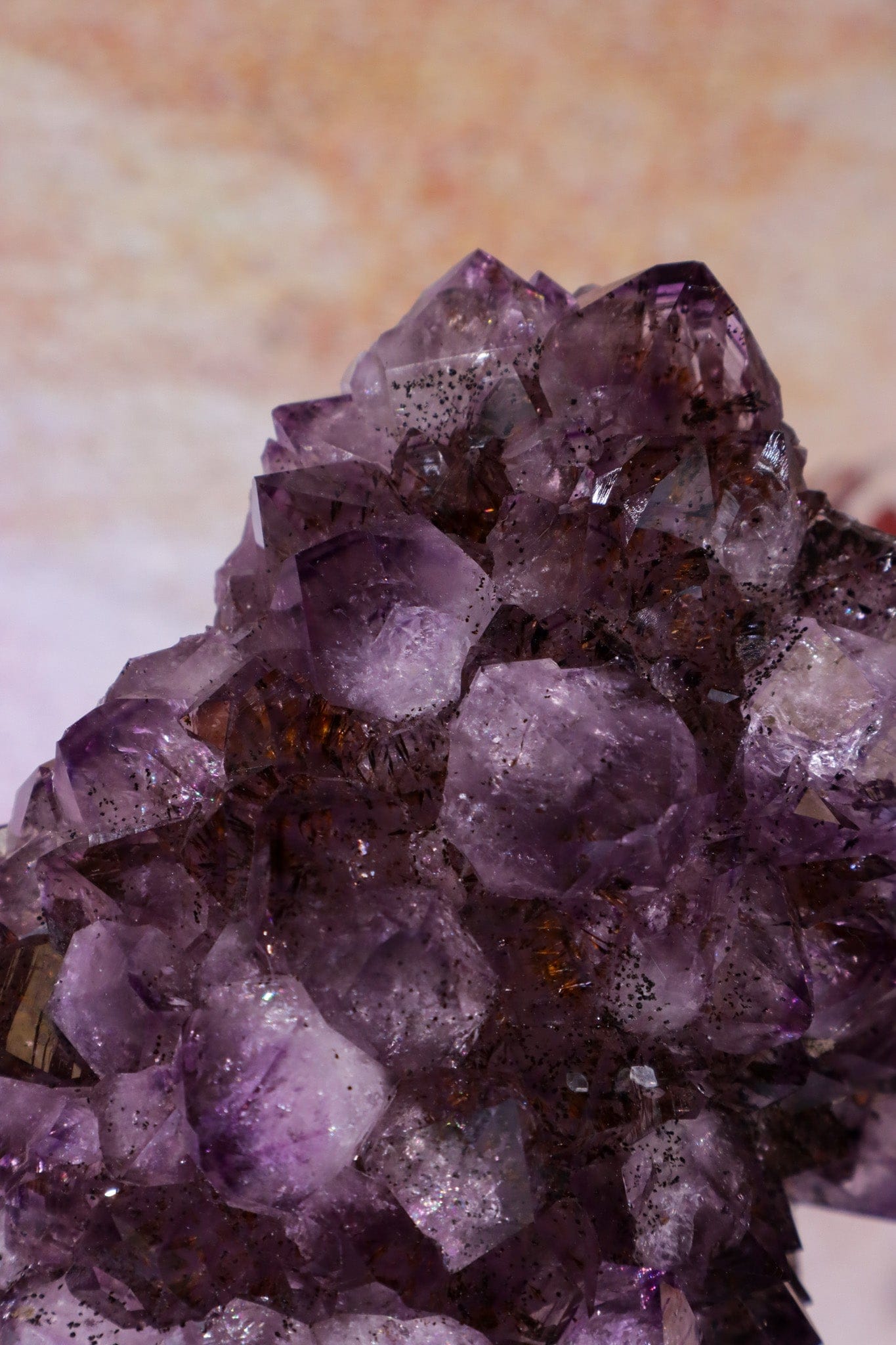 Statement Amethyst Cluster With Bespoke Stand 3.1KG Clusters Tali & Loz Crystals