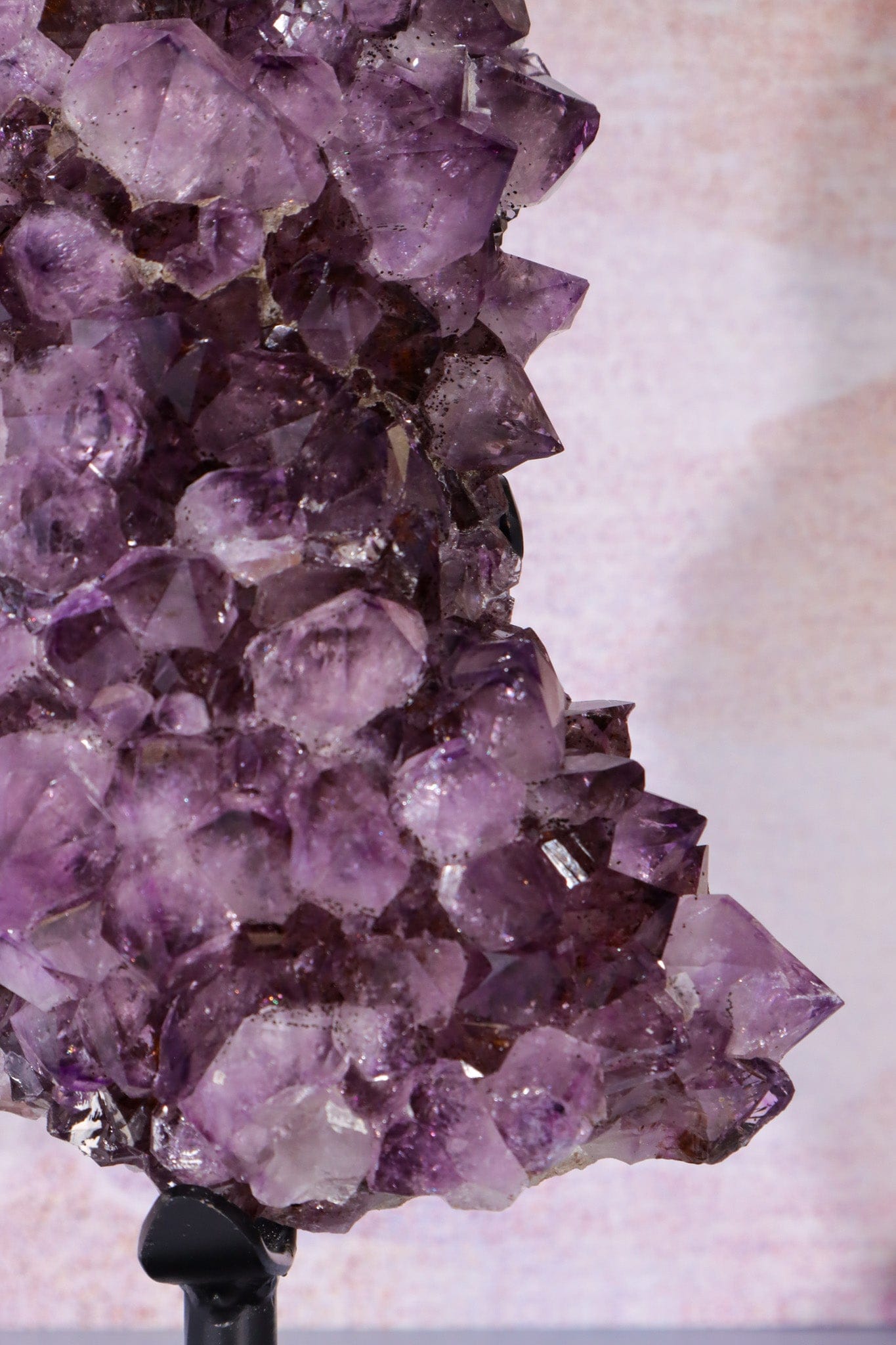 Statement Amethyst Cluster With Bespoke Stand 3.1KG Clusters Tali & Loz Crystals