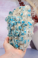 Statement Cavansite Stilbite Specimen 2.8KG | India Minerals Tali & Loz Crystals