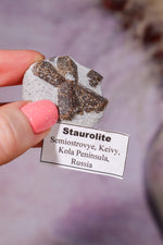 Staurolite Fairy Cross Twin Crystal 3.3cm, Kola Peninsula, Russia, Sold as Seen Minerals Tali & Loz Crystals