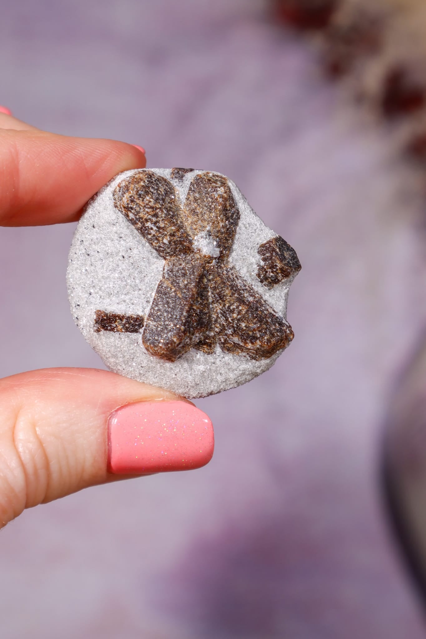 Staurolite Fairy Cross Twin Crystal 3.3cm, Kola Peninsula, Russia, Sold as Seen Minerals Tali & Loz Crystals