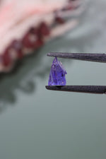 Tanzanite Gem 0.65gr Gem Tali & Loz Crystals