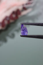 Tanzanite Gem 0.65gr Gem Tali & Loz Crystals
