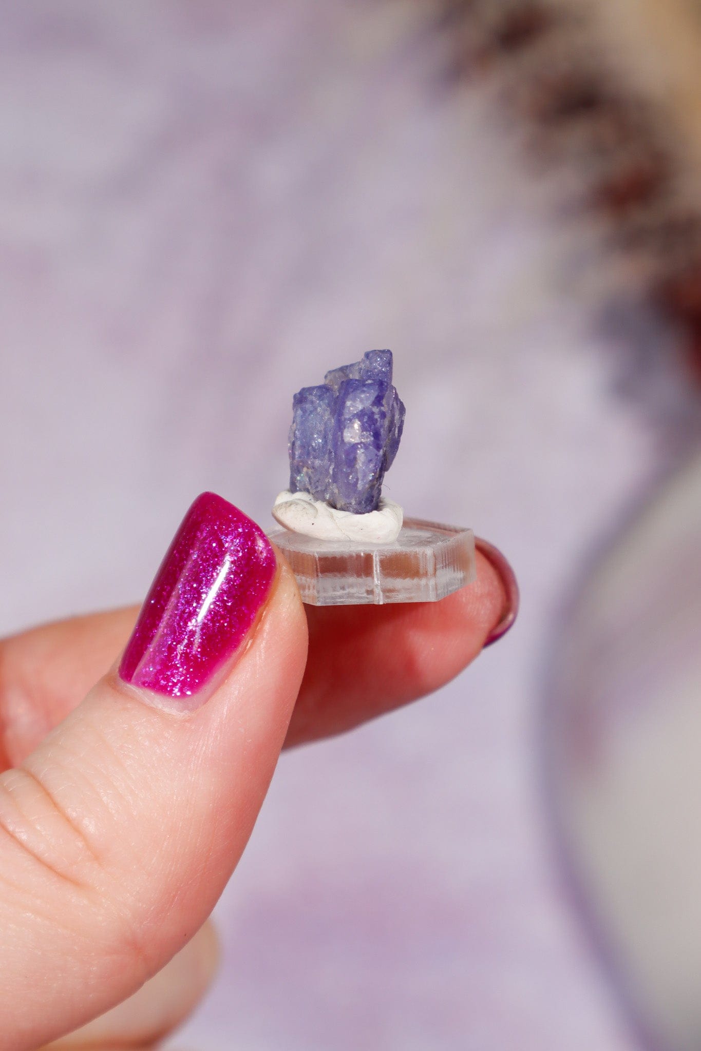 Tanzanite Gem 1.65gr, Tanzania Gem Tali & Loz Crystals