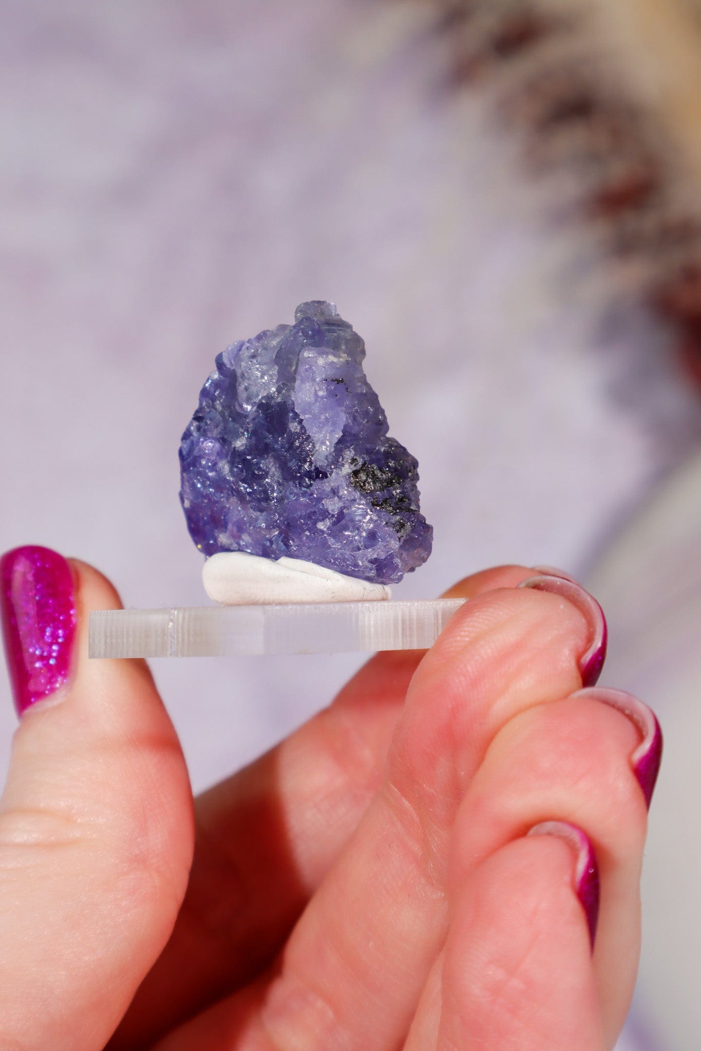 Tanzanite Gem 10.5gr, Tanzania Gem Tali & Loz Crystals