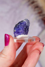 Tanzanite Gem 10.5gr, Tanzania Gem Tali & Loz Crystals
