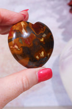 Tiger Iron Heart Carving | Intuitively Chosen Carving Tali & Loz Crystals